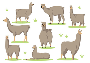 Free Llama Cartoon Vector - vector gratuit #396851
